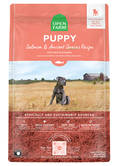 Healthy Kibble and Dry Dog Food Open Farm