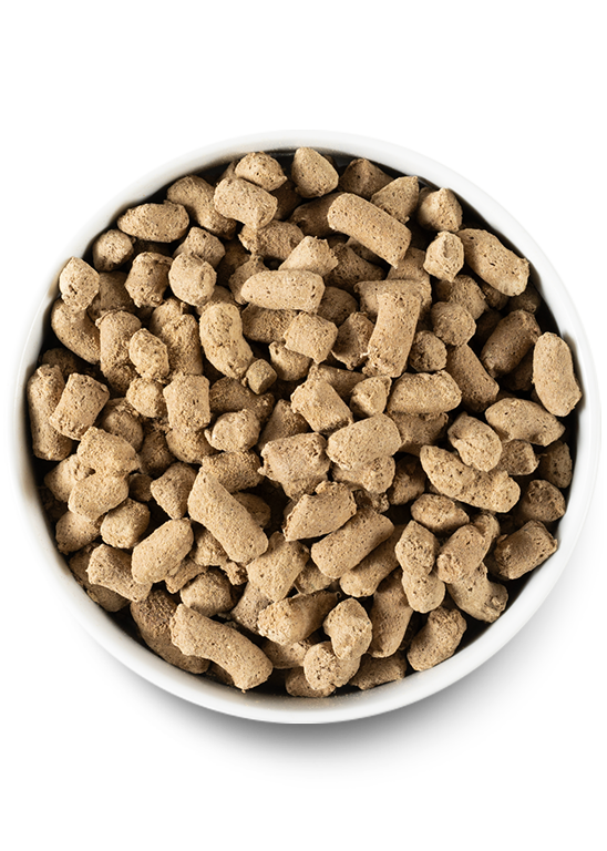 Freeze Dried Raw Lamb Dog Food Open Farm