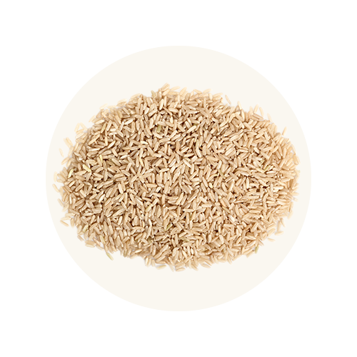 Brown Rice Title Harvest Chicken & Brown Rice Gently Cooked Recipe – Open Farm