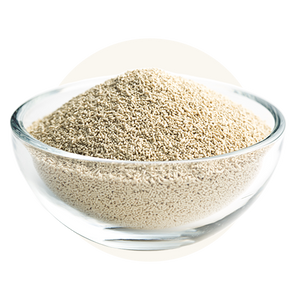 Dried Yeast