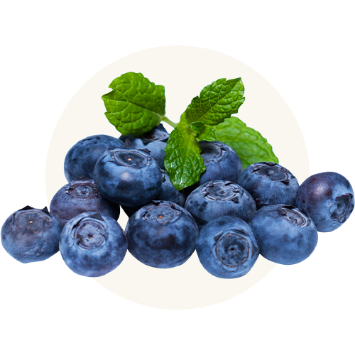 Blueberries