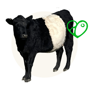 Pasture-raised, grass-fed beef liver