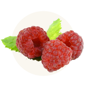 Organic Raspberries