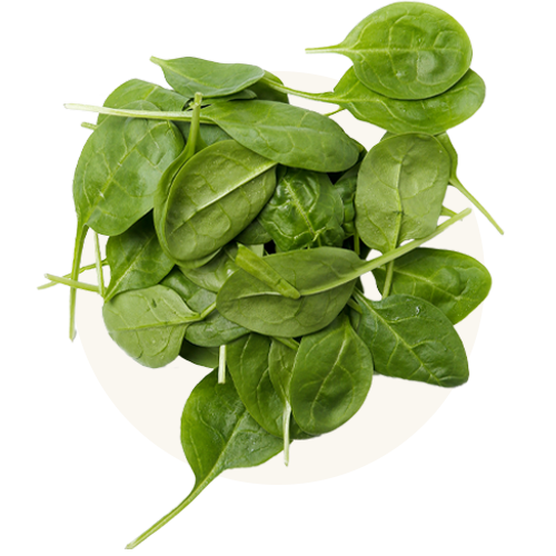 Organic Spinach