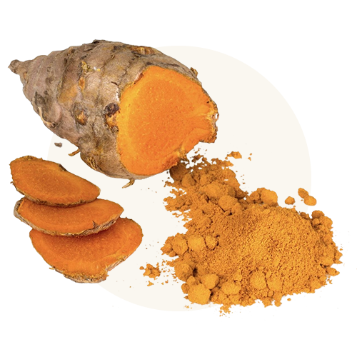 Turmeric