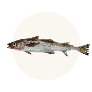 Wild-caught Wild-Alaskan Pollock