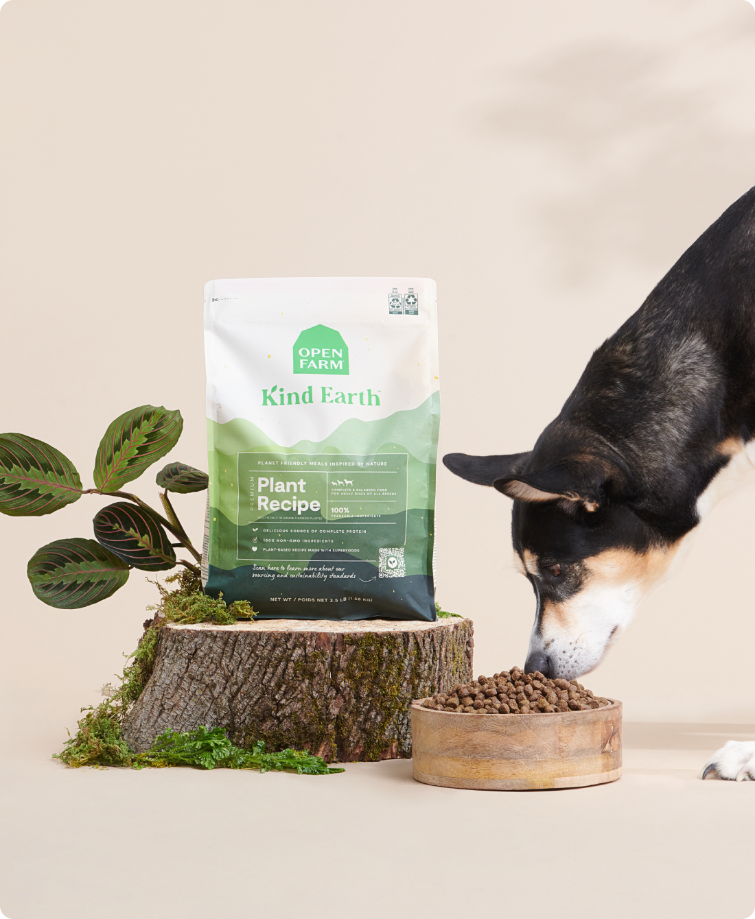 Kind Earth Premium Plant Dry Dog Food