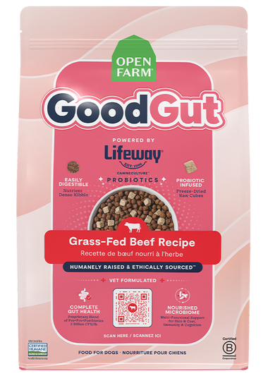GoodGut Grass-Fed Beef Dog Kibble