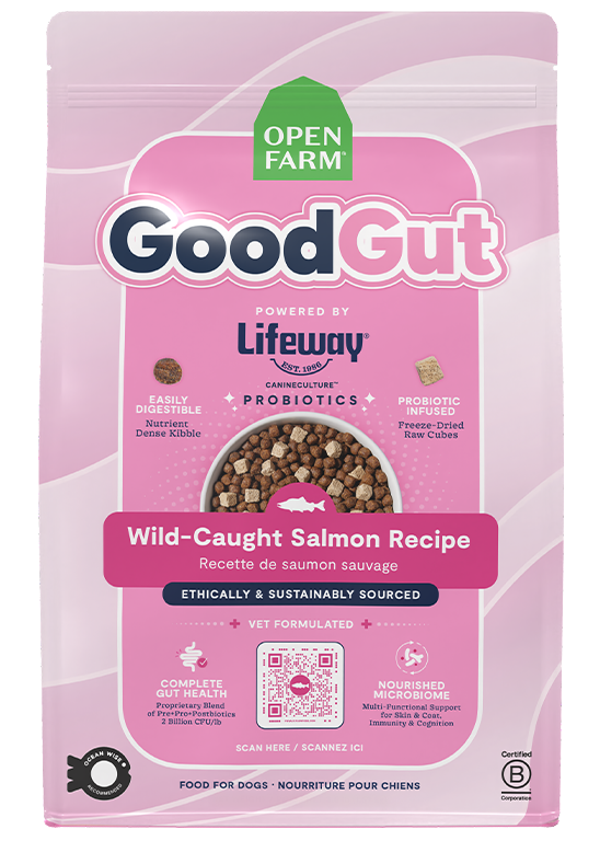 GoodGut Wild-Caught Salmon Dog Kibble by Open Farm