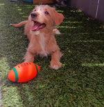 Roscoe