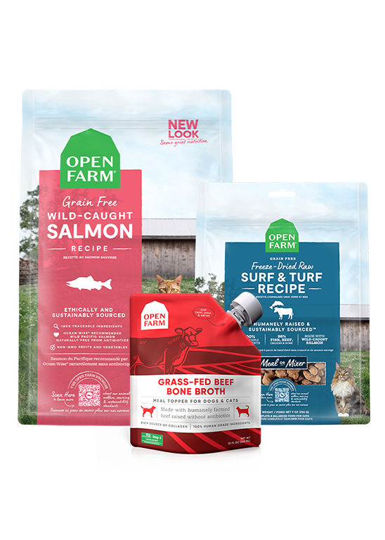 Skin & Coat Bundle for Cats by Open Farm
