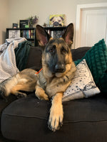 Stormy
