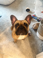 Zoe