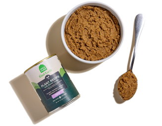 Kind Earth Plant Pâté with Ancient Grains for Dogs