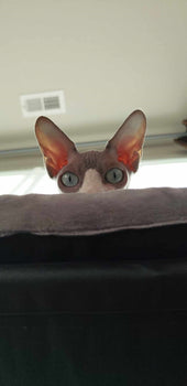 Lilith