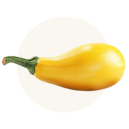 Yellow Squash