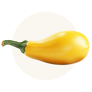 Yellow Squash