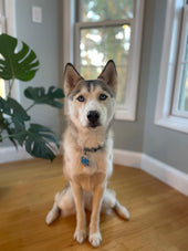 Zoey