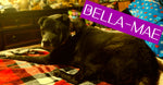 Bella-Mae Merrill