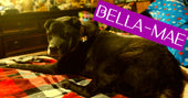 Bella-Mae Merrill
