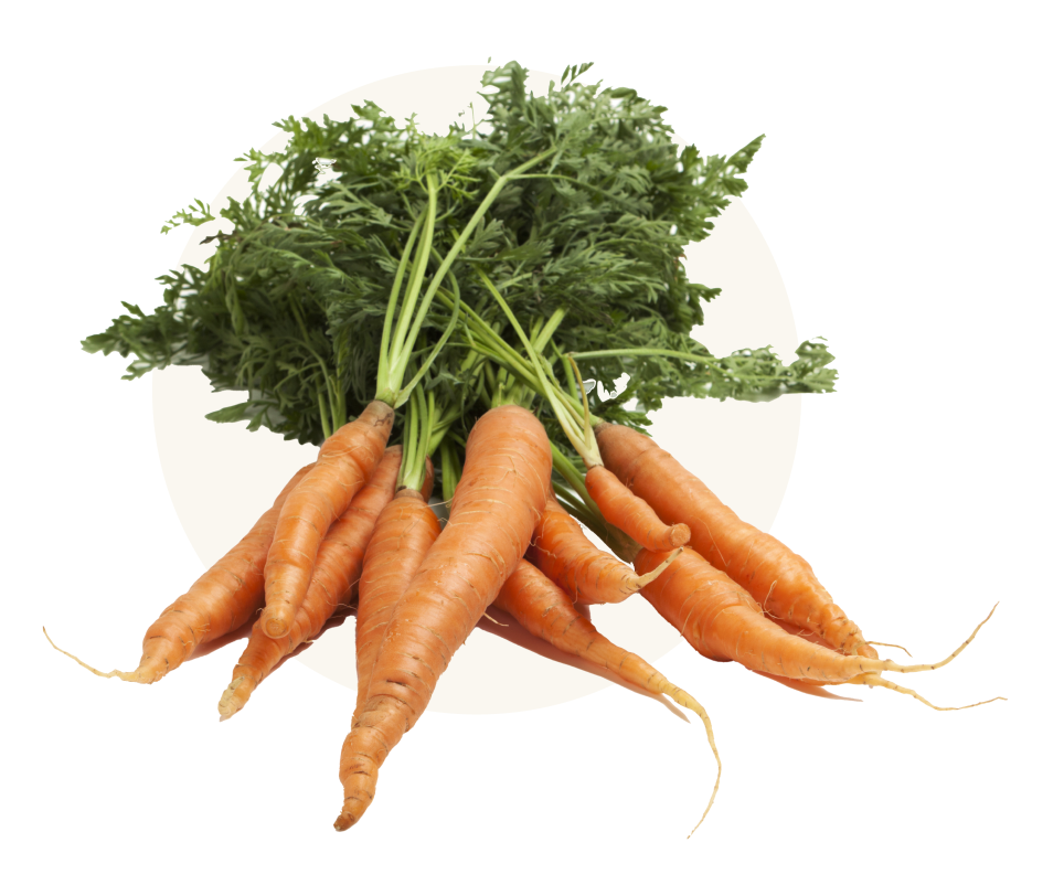 Organic Carrots