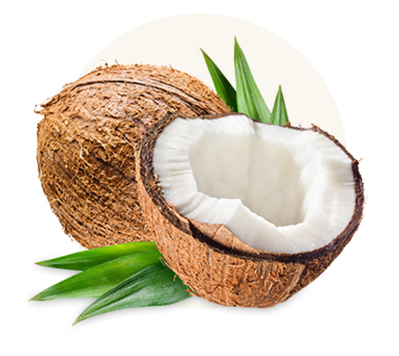 Coconut Oil