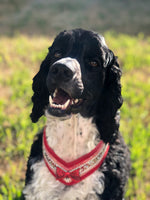 Milo