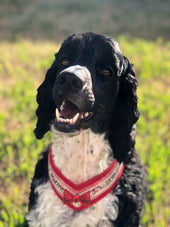 Milo