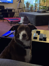 Sadie