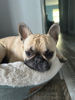 Bennie