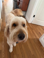 Riley