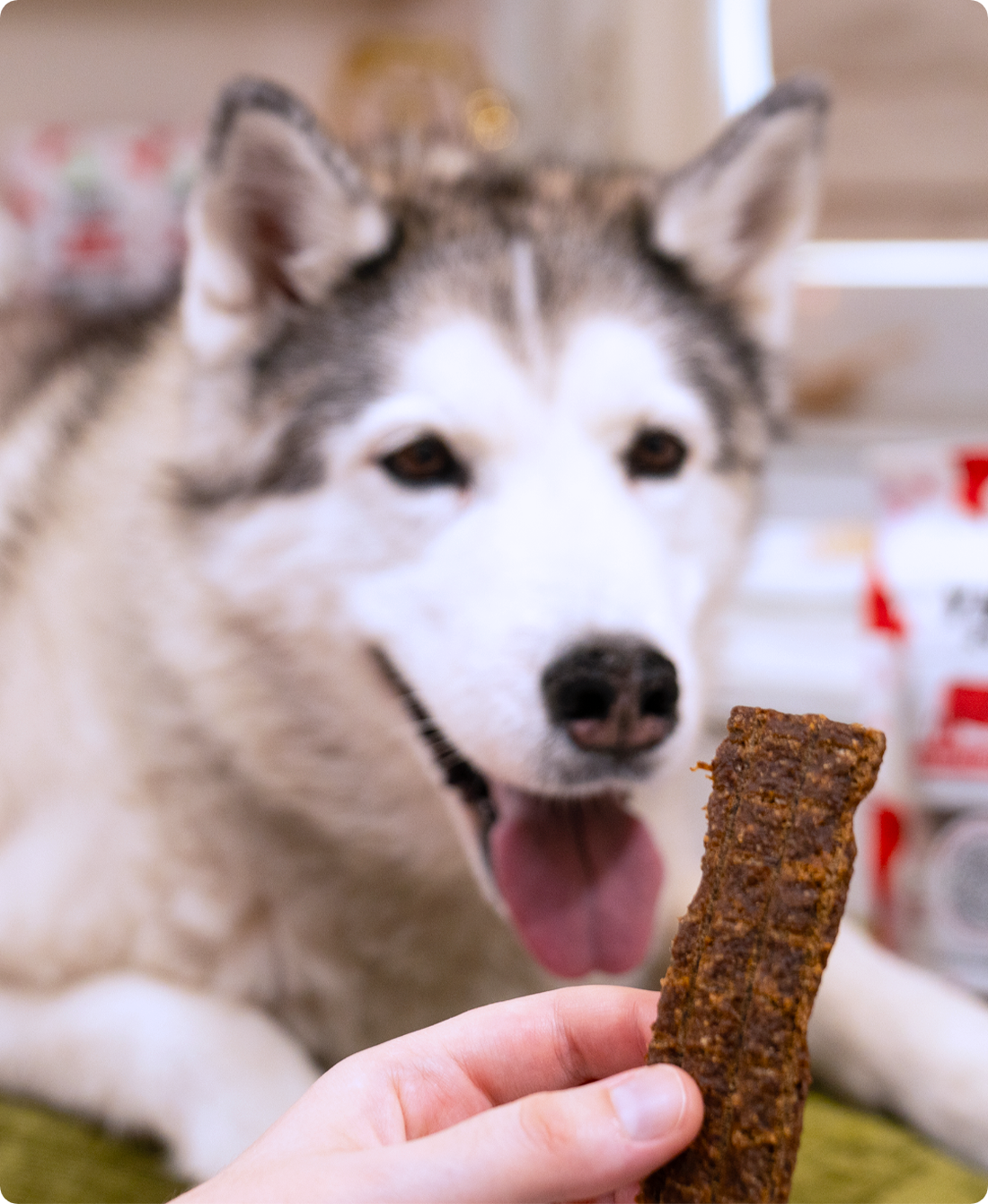 Grain-Free Turkey Jerky Strips