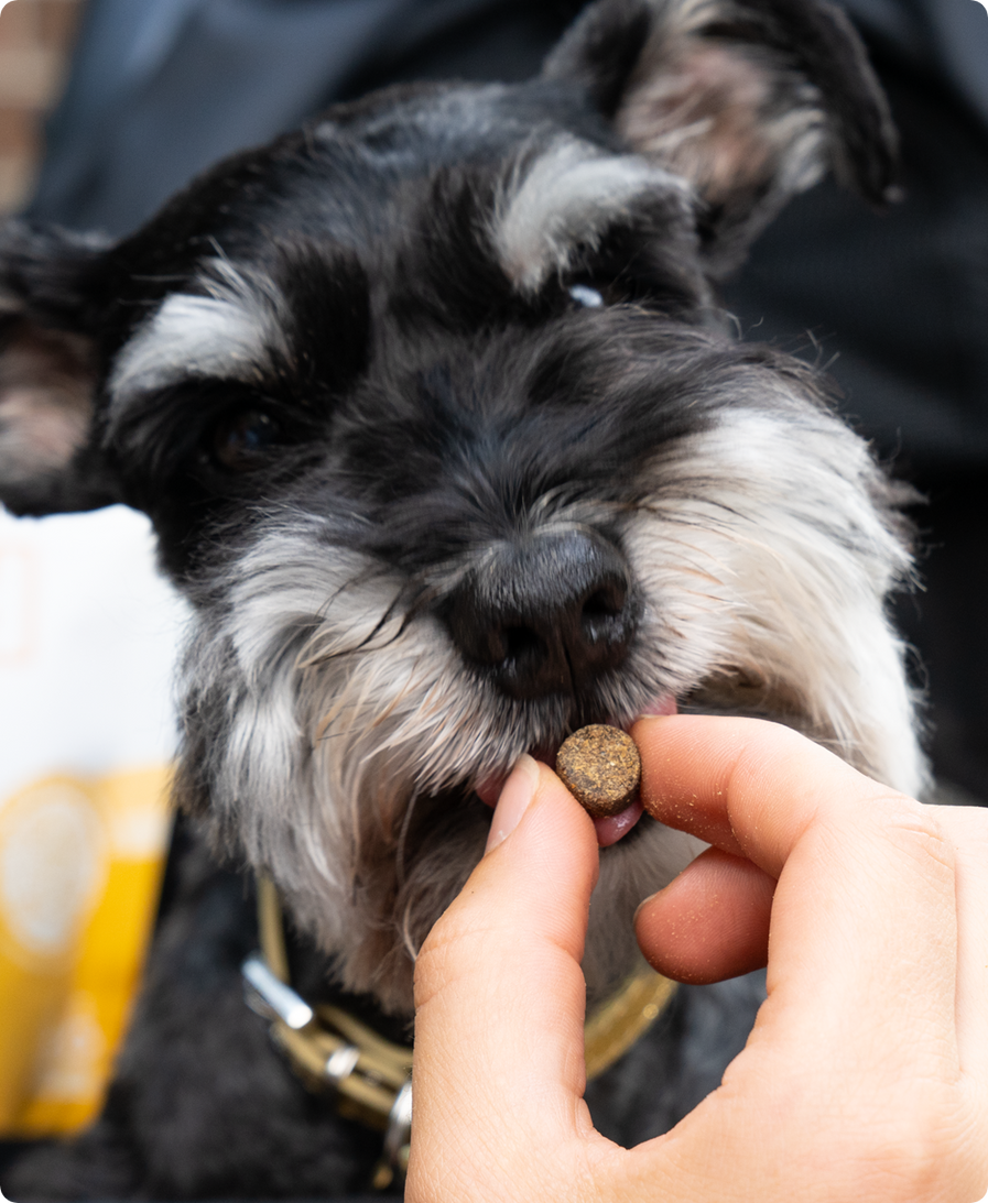 Be Good Bites Chicken Treats