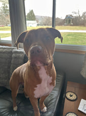 Copper
