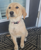 Maggie