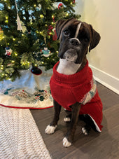 Josie
