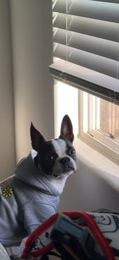 Mia