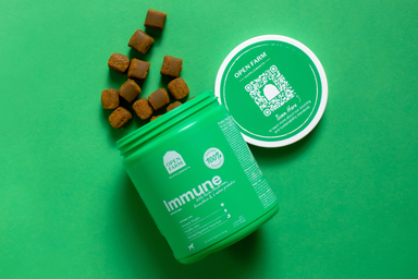 Immune Health Supplement Chews for Dogs