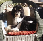 Finnigan
