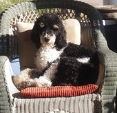 Finnigan