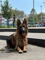 Vosco