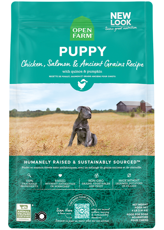 Chicken & Salmon Ancient Grains Puppy Kibble by Open Farm