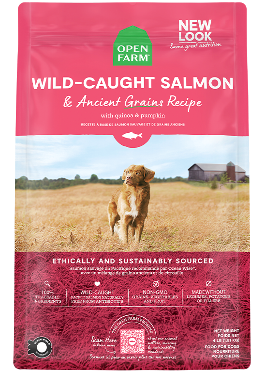 Wild-Caught Salmon & Ancient Grains Dry Dog Food