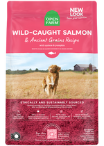 Wild-Caught Salmon & Ancient Grains Dry Dog Food