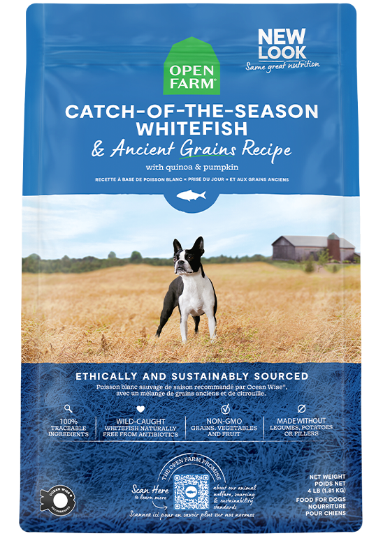 Whitefish & Ancient Grains Dog Kibble by Open Farm