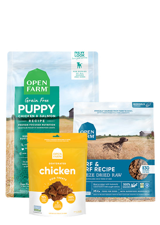 New Puppy Pack by Open Farm