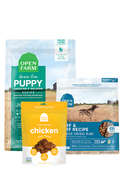 New Puppy Pack Best Puppy Food Treats Open Farm