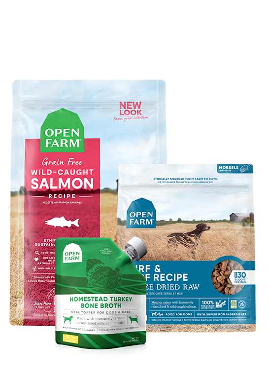 Skin & Coat Bundle by Open Farm