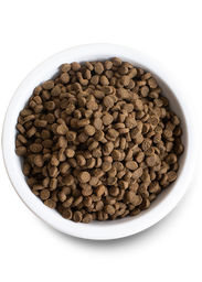 Kitten Grain-Free Dry Cat Food