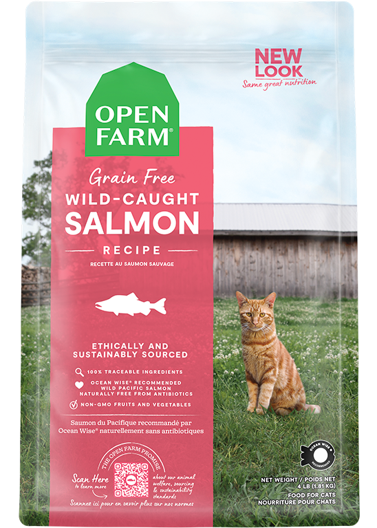 Wild-Caught Salmon Grain-Free Cat Kibble by Open Farm
